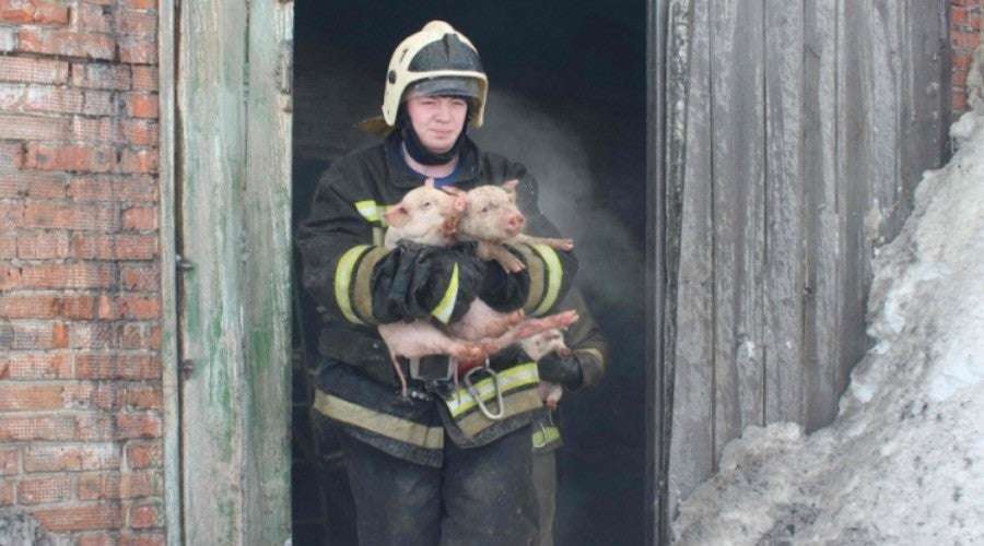 Ρώσοι πυροσβέστες με ευαισθησίες (βίντεο, εικόνες)
